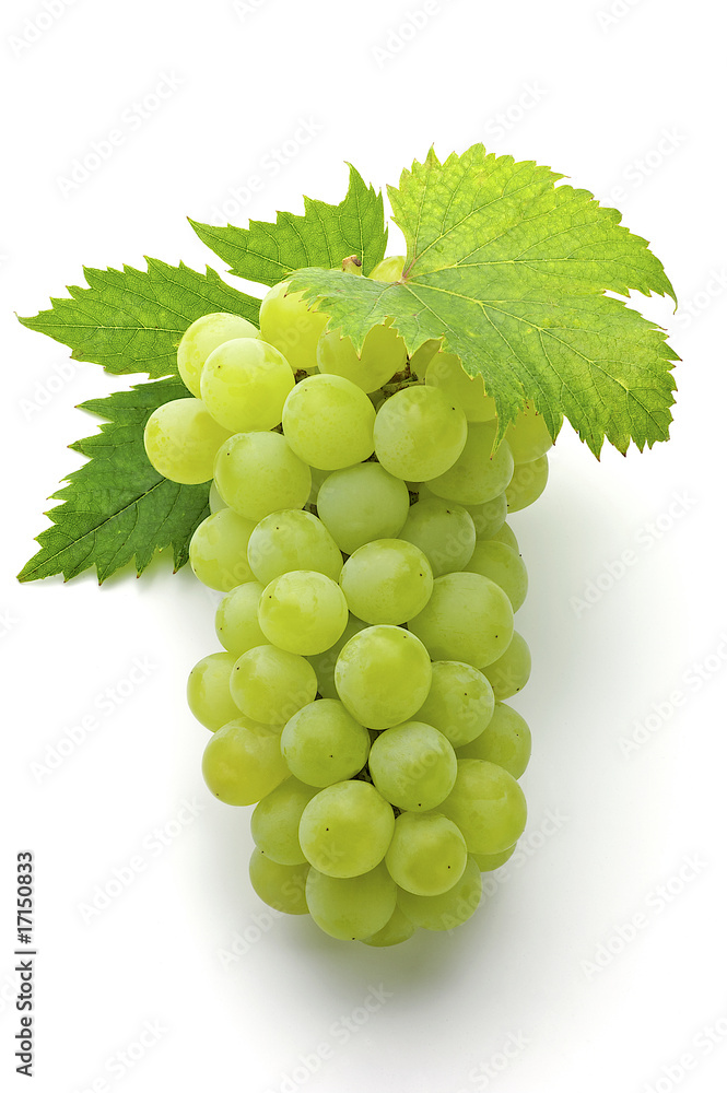 grape grape