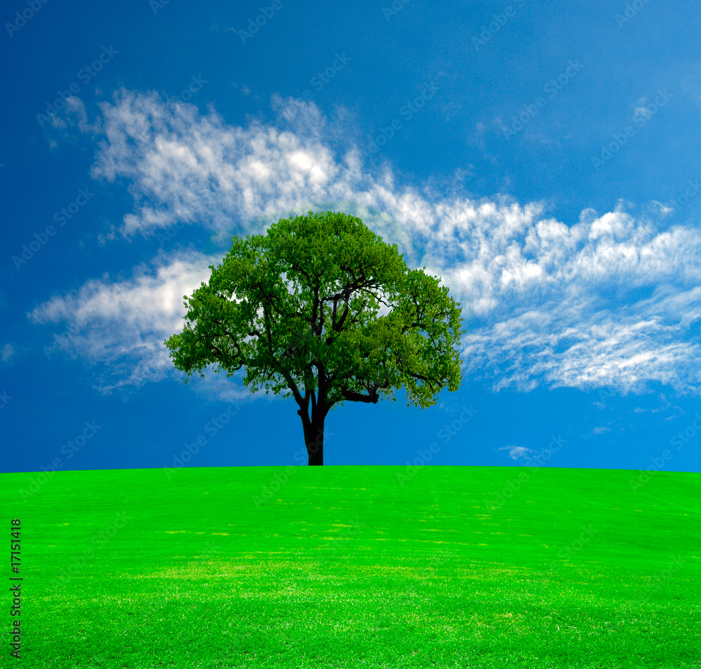 Lonely tree on green field Lonely tree on green field