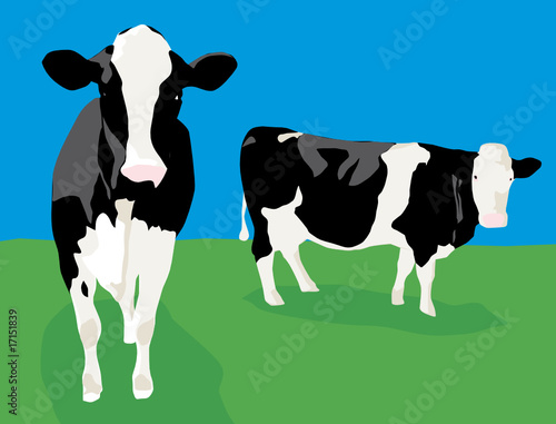 2 vaches dans les champs