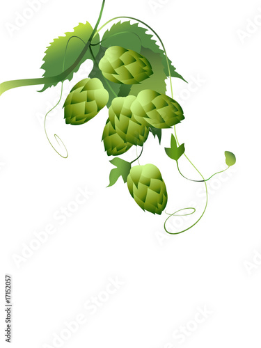 hops plan
