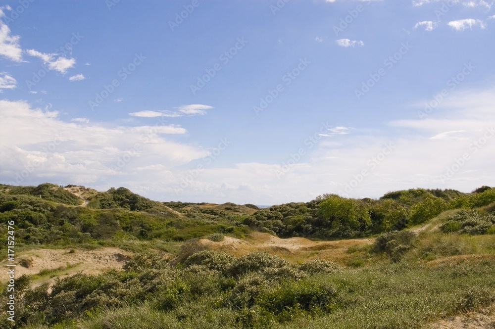 Le sentier des Garennes, au milieu des dunes - Berck-sur-mer (Cô