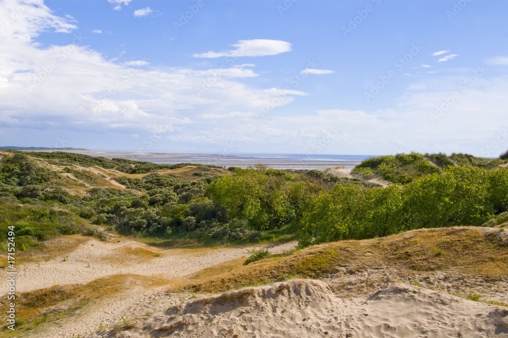 Le sentier des Garennes, au milieu des dunes - Berck-sur-mer (Cô