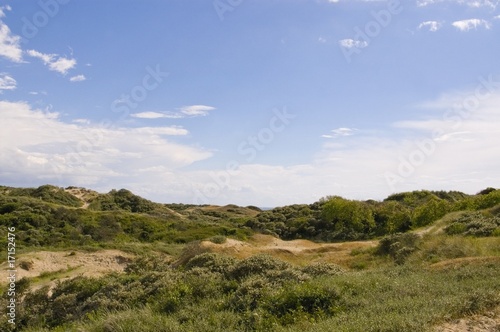 Le sentier des Garennes, au milieu des dunes - Berck-sur-mer (Cô photo