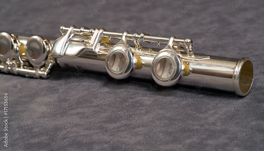 Obraz premium Flute Foot Joint