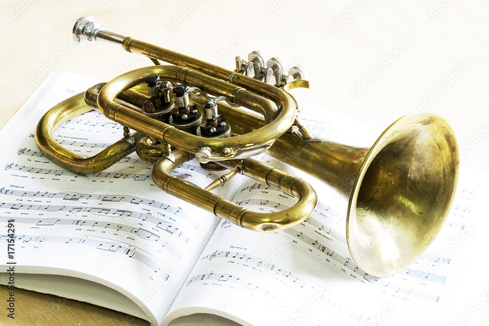 Obraz premium Trumpet