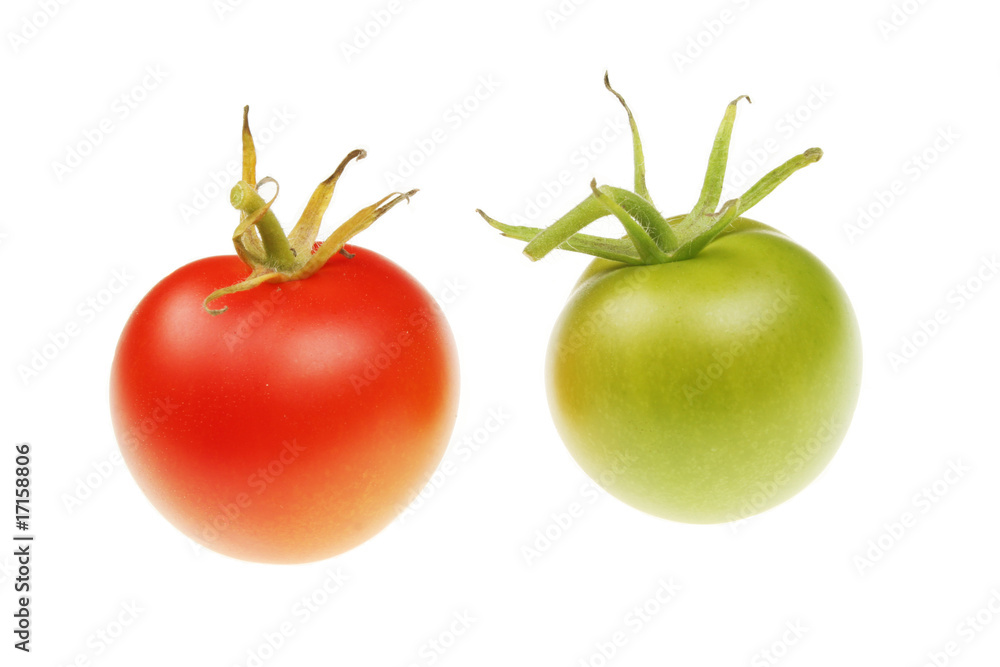 custom made wallpaper toronto digitalRed and green tomatoes