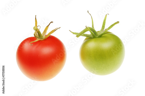 Wallpaper Mural Red and green tomatoes Torontodigital.ca