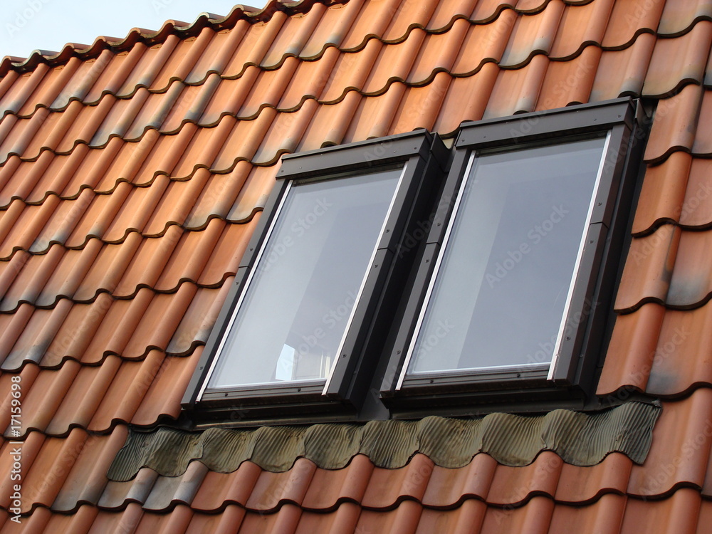 Dachfenster rot 271 Dachfenster rot 271