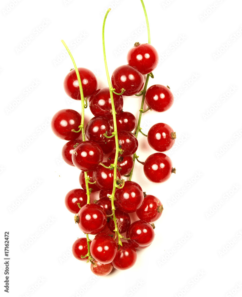 red currant on white background