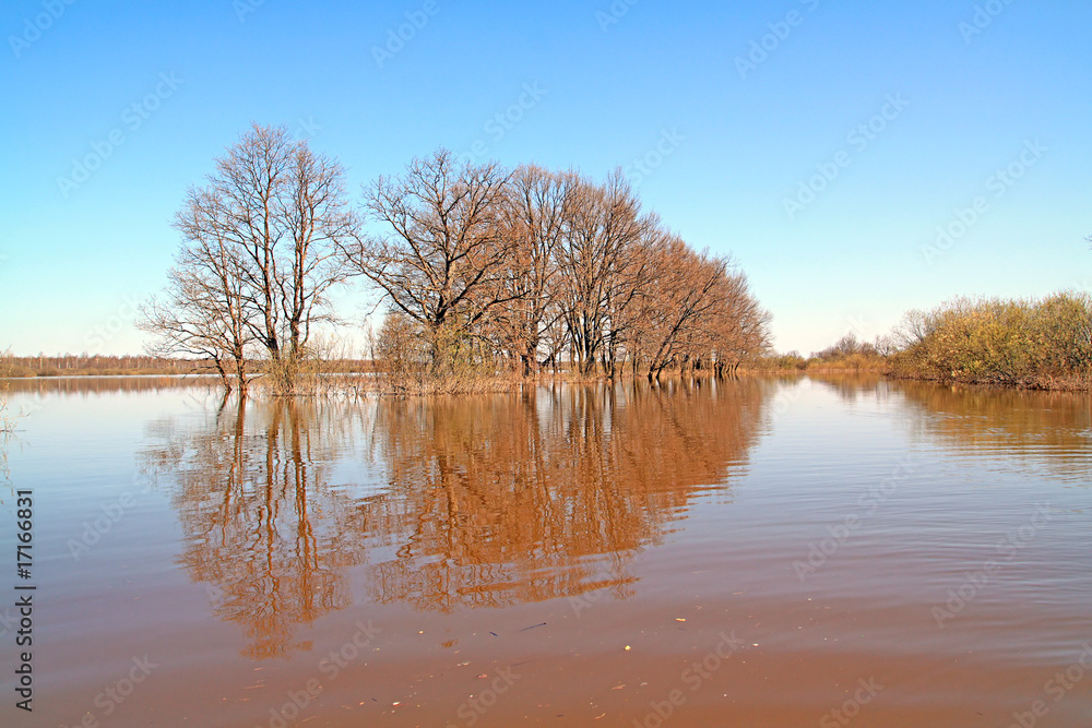 Obraz premium flood in wood