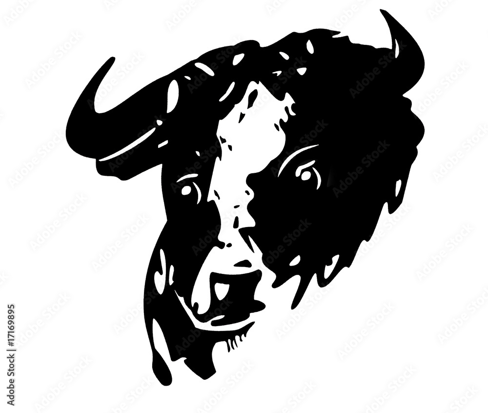 esquisse de taureau esquisse de taureau