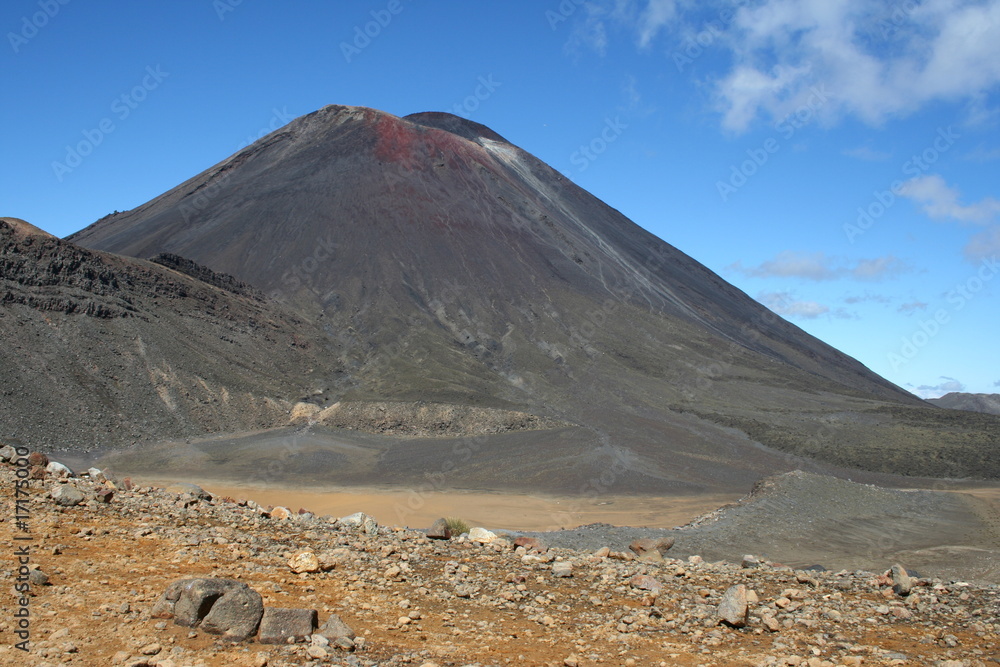Fototapeta premium Neuseeland_31