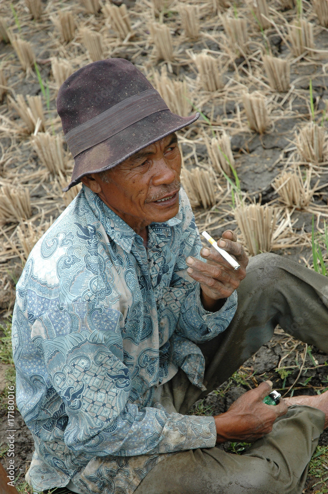 old farmer old farmer