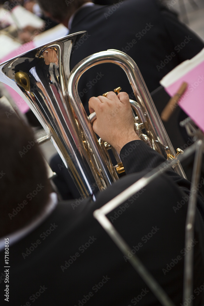 Obraz premium musicien