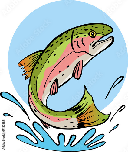 rainbow trout
