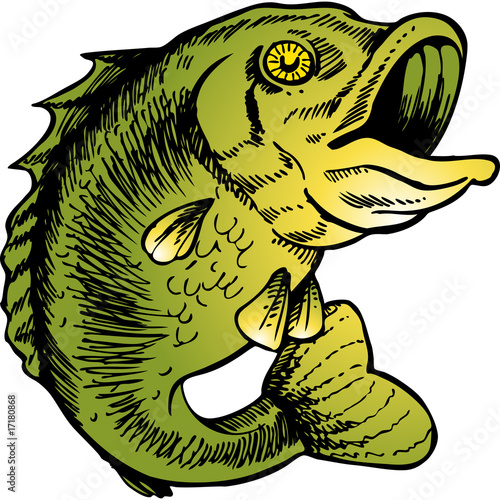 big mouth bass