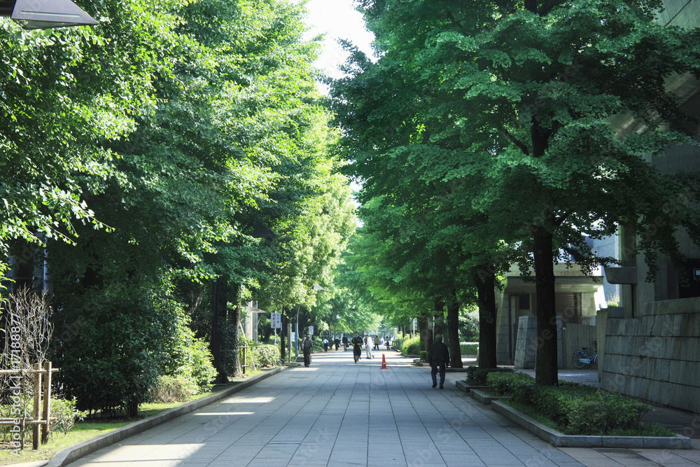上野公園 上野公園