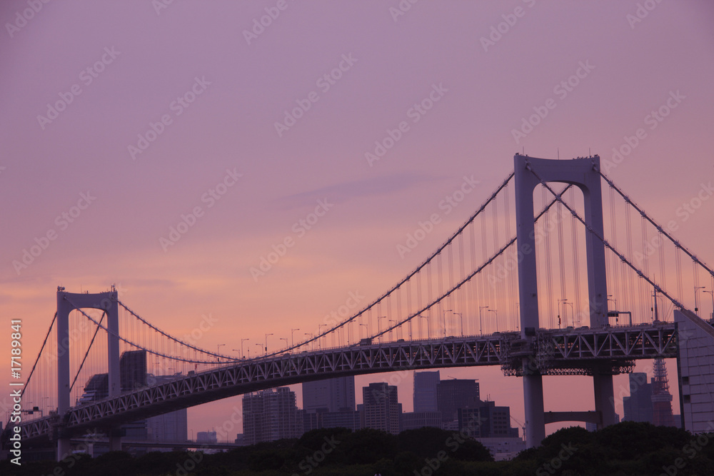 Fototapeta premium レインボーブリッジ