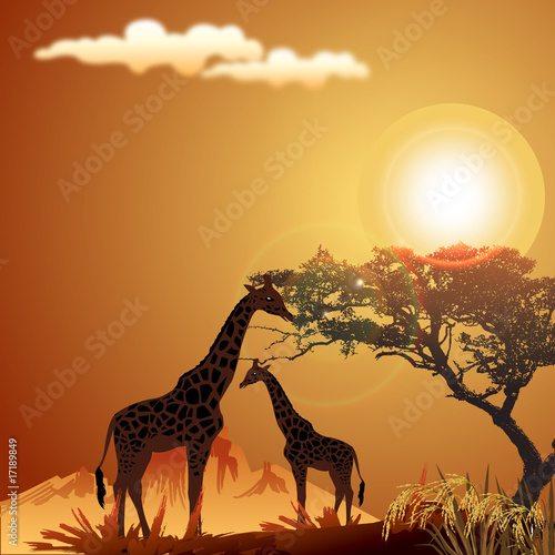 silhouette of giraffe