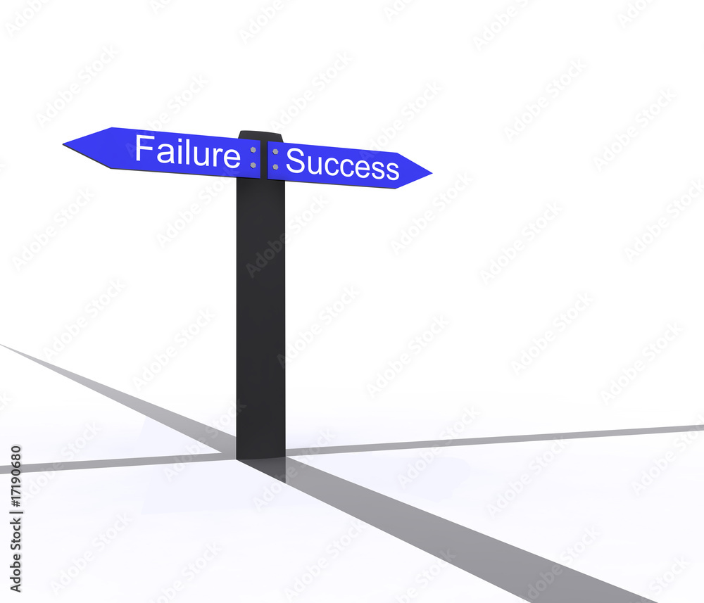 Success and Failure Success and Failure