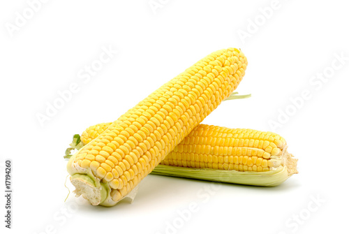 Corn on the cob