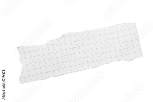 Ripped Piece of Squared Paper