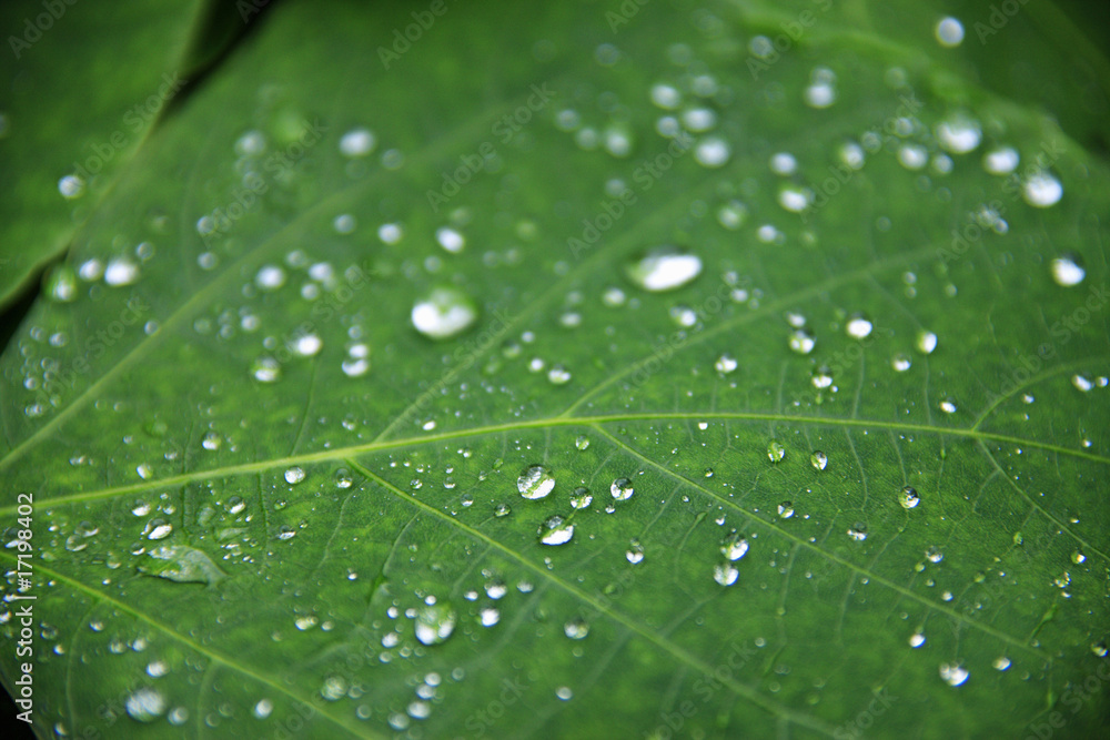 水滴 水滴