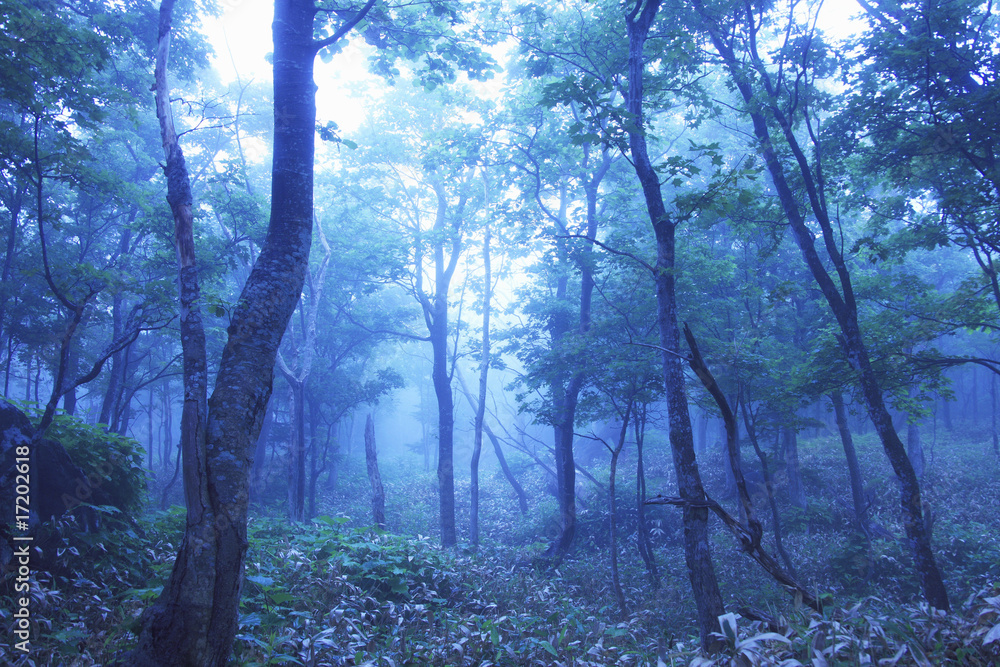 Naklejka premium 知床五湖