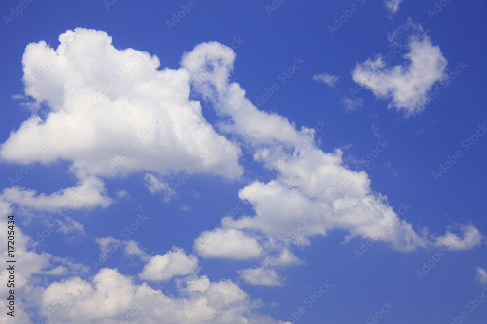 Obraz premium 青空と白い雲