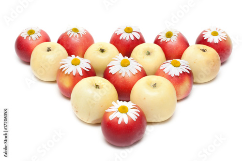 Fototapeta Apple and daisywheels