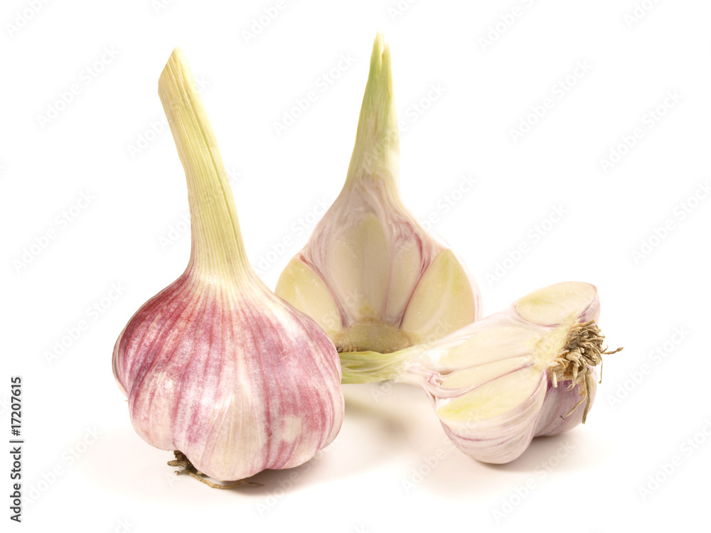 Obraz premium Junger Knoblauch