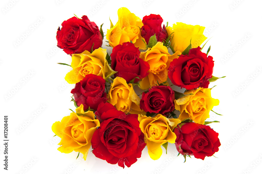 red and yellow roses red and yellow roses