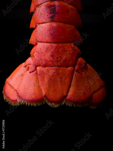 Close up of lobster tail