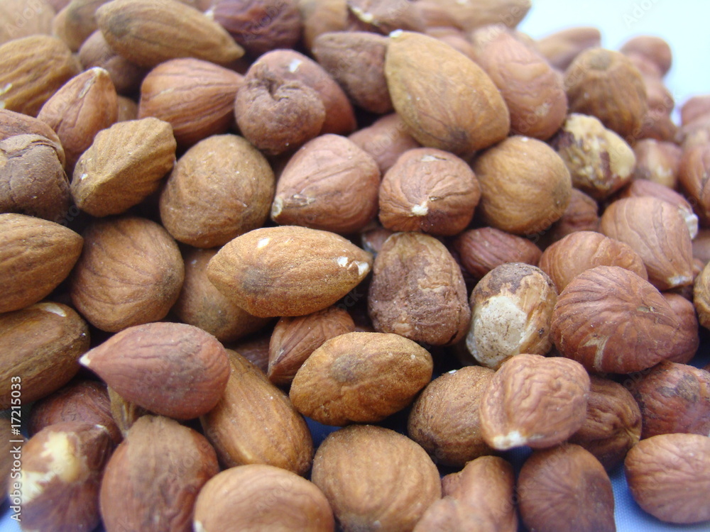 noisette noisette