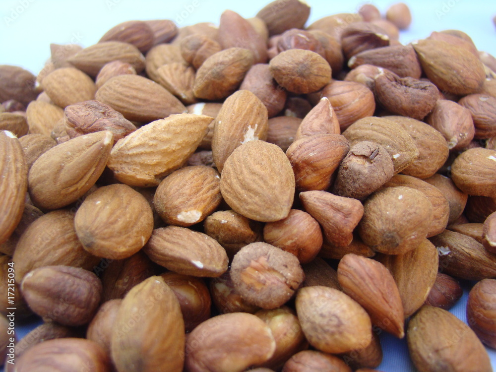 noisette noisette