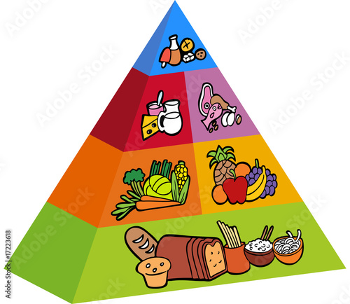3d food pyramid items