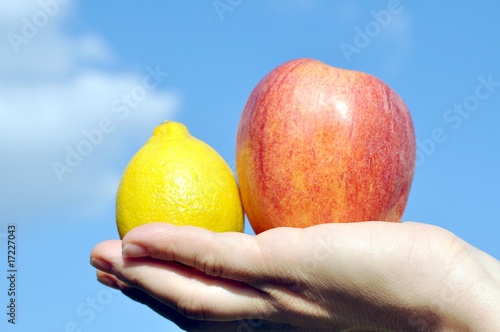 Apfel und Zitrone photo