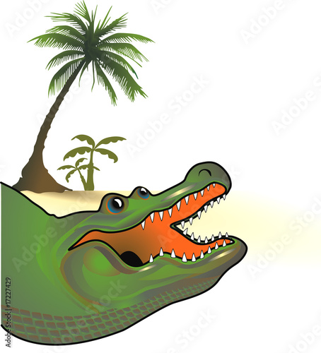 alligator palmen
