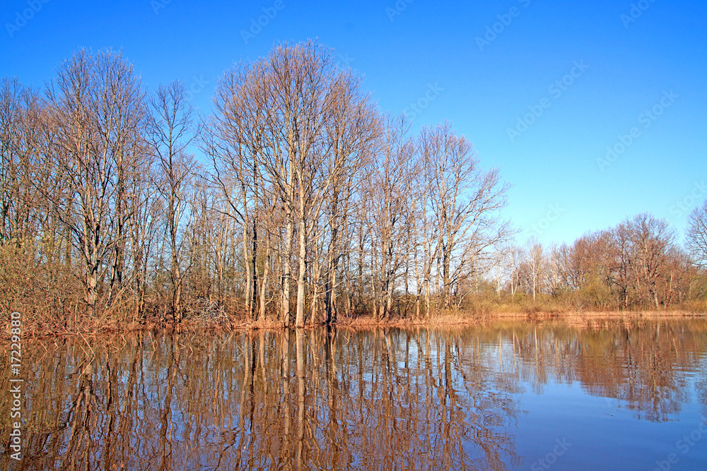 flood in wood flood in wood