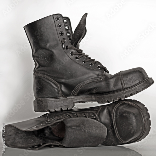 Canvas-taulu springerstiefel