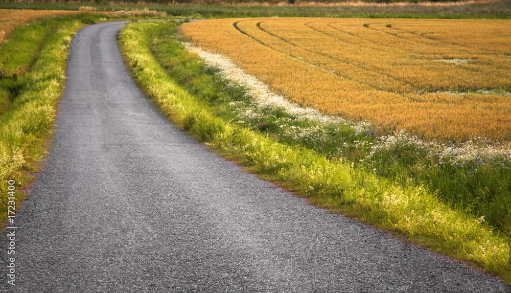 Naklejka premium Country road