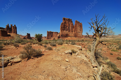 fascinating sandstone formations at arches national park, utah,