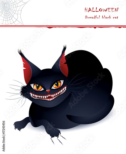 Dreadful black cat