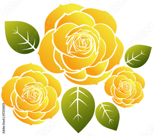 yellow roses photo