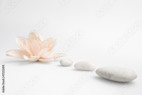wellness still life pebbles and  lily