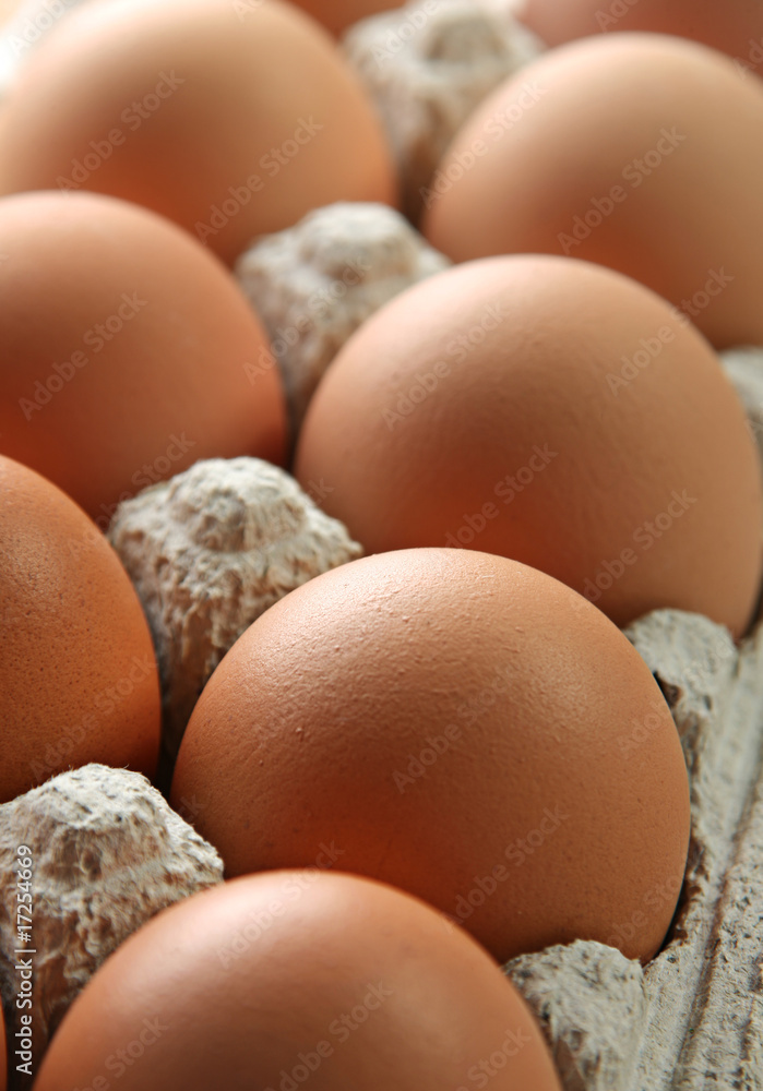 Chicken egg Chicken egg