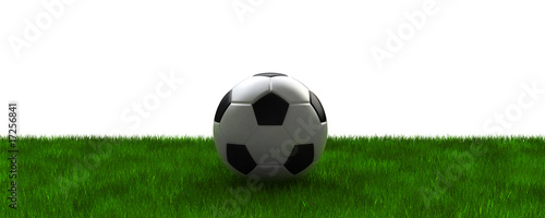football on grass with clipping path © Rafal