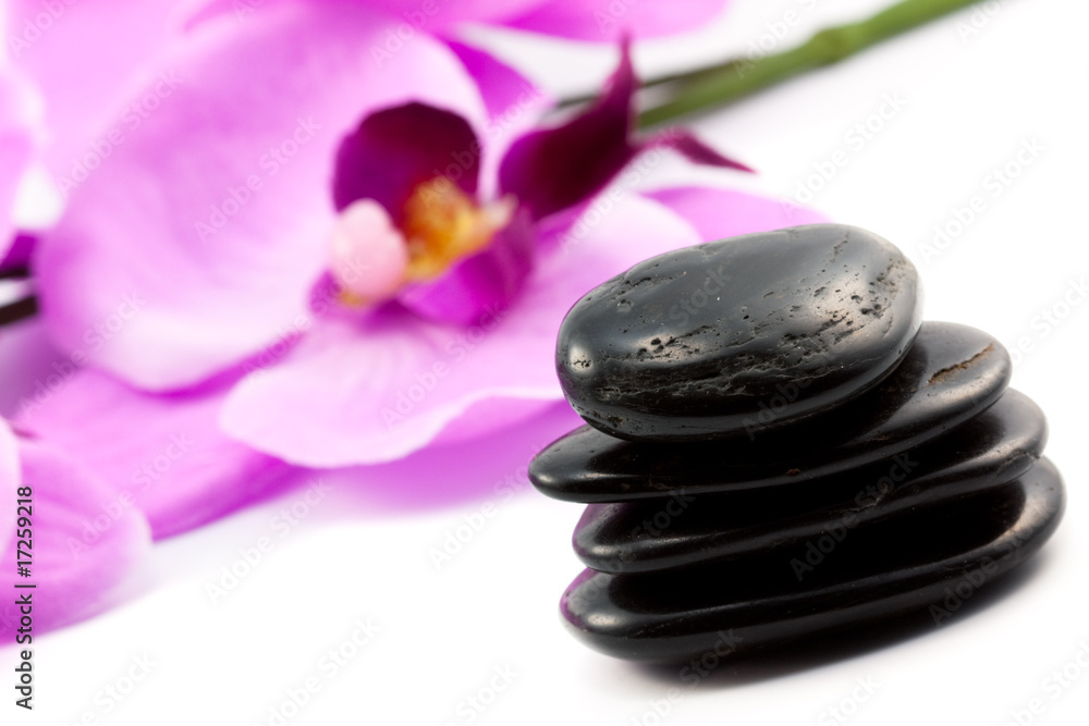 wellness wellness