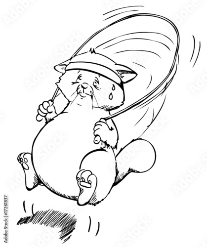 Katze, Kater, Fit, Sport, Training, Springseil
