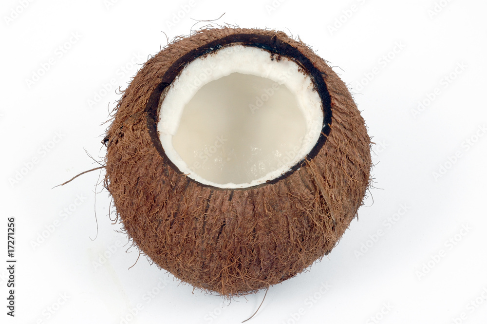 noce di cocco noce di cocco
